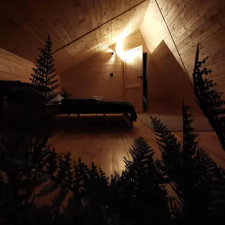 Dom wakacyjny Na Zakręcie - Loft